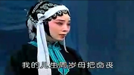 黄梅戏《孝子冤》选段