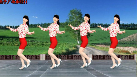 燕子广场舞《老婆花dj》简单32步 好听又好