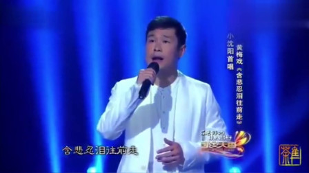 黄梅戏《天仙配》小沈阳唱太惊艳