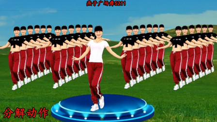 燕子广场舞《爱情的力量DJ》网络热歌 动感