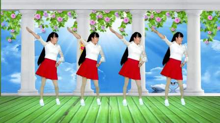 初学者32步广场舞《老婆花》舞步好看附教学