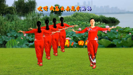 小慧广场舞《回娘家》正反演示附教学