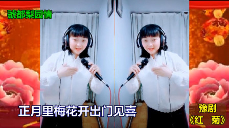 豫剧《红菊》选段《十祝福》