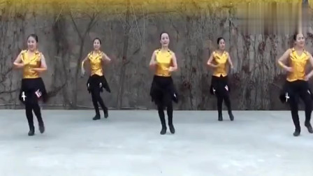 时尚广场舞《潇洒走一回》舞蹈欣赏以及慢速