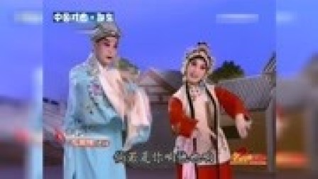 京剧《花田错》选段 王晓燕