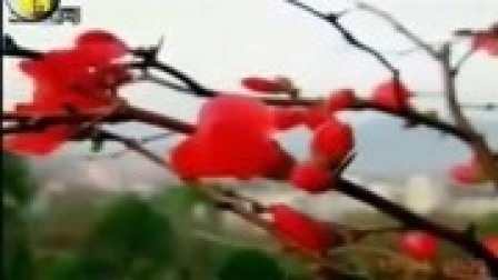 豫剧《程咬金照镜子》我三十多岁坐花轿
