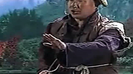 二人转《新傻柱子接媳妇》傻柱子进城一路走