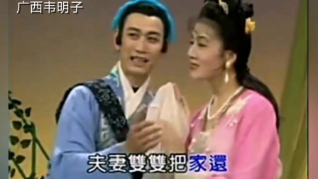 黄梅戏《夫妻双双把家还》
