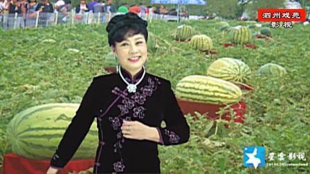 曲剧《扒瓜园》选段 老头子给队里来种瓜 冯宝娥演唱下载