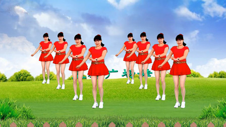 益馨广场舞《一分钱一分货》入门16步