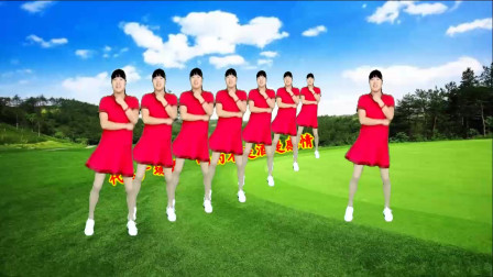 广场舞《喝的不是酒是感情》2步摆夸健身舞