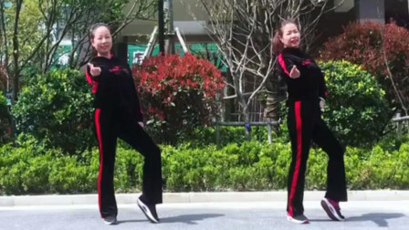 舞韵广场舞《玩腻》32步双人舞步子舞