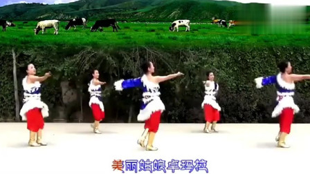 民族广场舞《新卓玛》舞蹈欣赏以及慢速教学