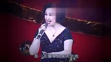 评剧《小半子》选段 小河道水 宋丽演唱