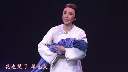 评剧《母亲》选段 苦苦等了多少年啊 王平演