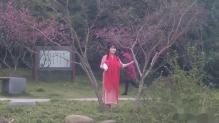 经玉清的民间小调《苦情花》演绎的淋漓尽致
