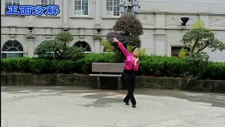 高安子君广场舞 《缅桂花开》（分解与背面演