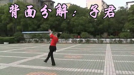 高安子君广场舞《敖包再相会》（附背面分解和