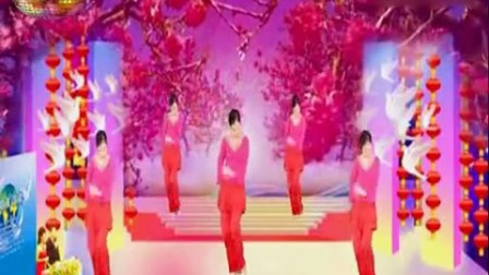 动动广场舞《梅花泪》  广场舞教学