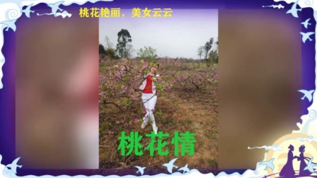 米悠悠广场舞《桃花情》下载