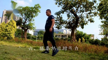 养生气功八段锦  孙成峰