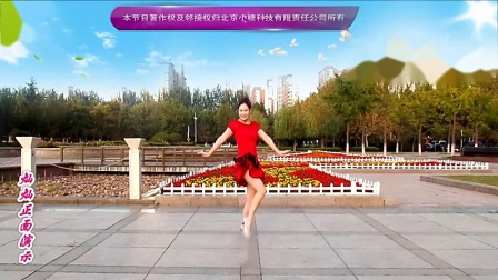 金灿灿广场舞《动感恰恰》DJ热舞