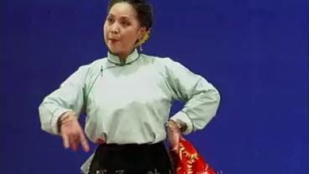 河南省太康道情《回娘家》