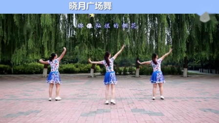 云裳广场舞《独爱一枝花》正背面完整版教学