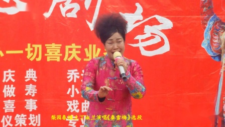 梨园春 豫剧《秦雪梅》选段 丁淑兰演唱