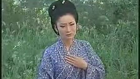 黄梅戏 《寡妇门前是非多》