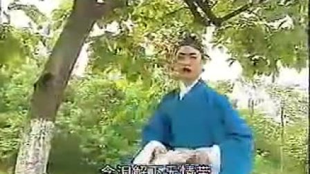 黄梅戏《杯水茶缘》