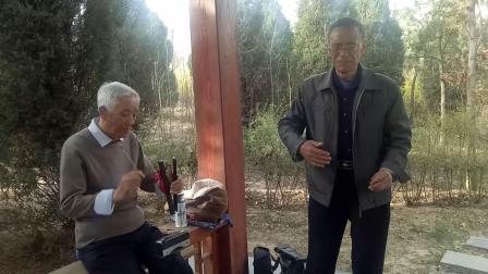 蒲剧《三娘教子》少东人创下了逃天大祸 陈