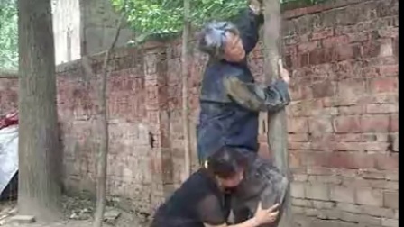 民间小调《老妈子上树》二静 伟民 奇霞 小