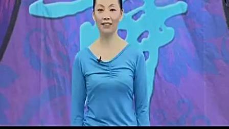 紫蝶踏歌广场舞教学 《星光》动作分解