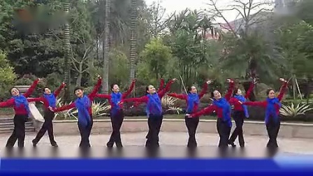张春丽广场舞 《青藏女孩》（正背面）下载