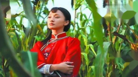 金芙蓉广场舞《红高粱》原创张春丽