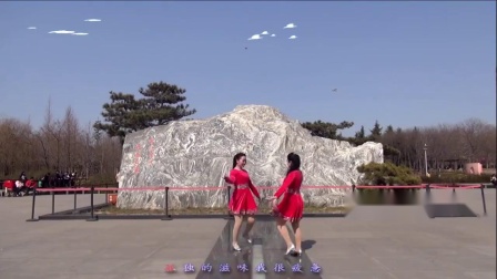 美久广场舞《唱着情歌留着泪》原创双人对跳32步舞背面演示下载