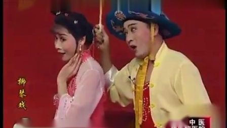 柳琴戏《走娘家》片段