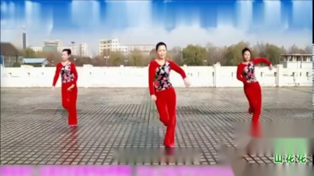 云裳广场舞《山花花》背面演示