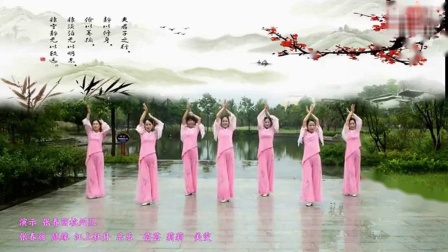 张春丽广场舞《 一枝梅》 正背表演下载