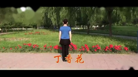 最新云裳广场舞《丁香花》示范动作分解口令