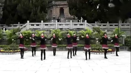 动动广场舞 《妹妹的山丹花》