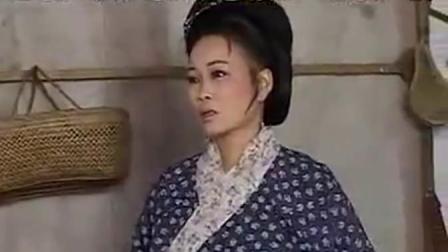 庐剧 《泪母斩子》2   昂小红下载
