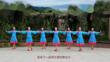 杨艺格格广场舞《梦中的额吉》背面演示