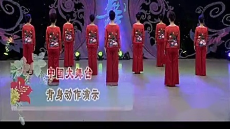 杨艺广场舞《中国大舞台》下载