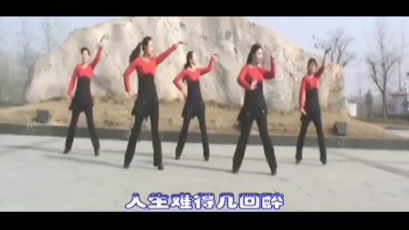 刘荣广场舞《飞歌醉情怀》背面教学和正