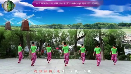 刘荣广场舞《九九艳阳天》迎七一 简单易学