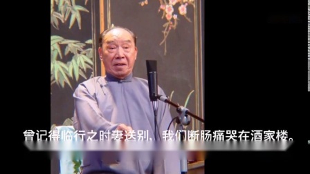 苏州评弹 弹词选曲《林冲夜奔》杨振言 蒋调
