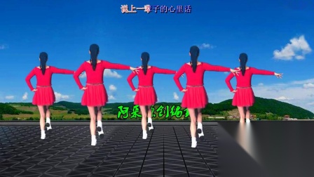 阿采广场舞《老婆花》入门32步 演示和分解