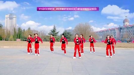 云裳广场舞《泰山与珍妮》